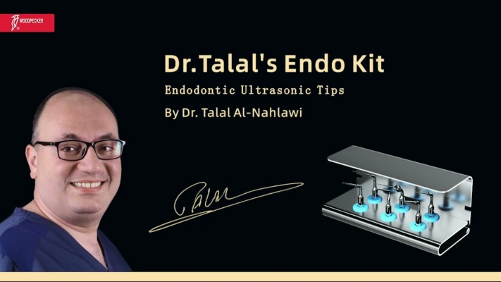     Dr.Talal&#39;s Endo-Kit von Woodpecker    